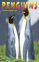 Penguins 2020 Wall Calendar