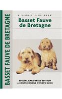 Basset Fauve De Bretagne