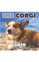 The Corgi 2019 Mini Wall Calendar
