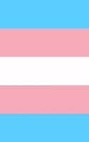 Transgender Pride Flag Sketch Journal