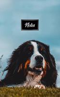 Bernese Mountain Dog Pup Puppy Doggie Notebook Bullet Journal Diary Composition Book Notepad - Relax in the Meadow: Cute Animal Pet Owner Composition Book with 100 Dotted Dot Grid Paper Pages in 6" x 9" Inch