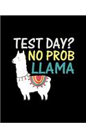 Test Day No Prob Llama