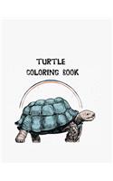 Turtle coloring book: Coloring Toy Gifts for Toddlers, Kids or Adult Relaxation - Cute Easy and Relaxing Realistic Large Print Birthday Gifts