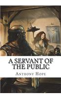 A Servant of the Public