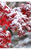 2019 Daily Planner Japanese Maple Winter Snow 384 Pages