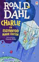 Charlie a'r Esgynnydd Mawr Gwydr