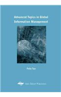 Advanced Topics in Global Information Management