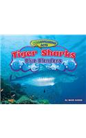 Tiger Sharks: Blue Blenders