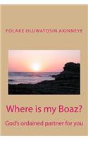 Where is my Boaz: God's ordained partner for you