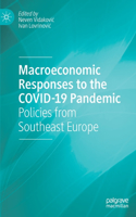 Macroeconomic Responses to the Covid-19 Pandemic