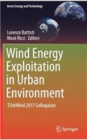 Wind Energy Exploitation in Urban Environment