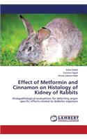 Effect of Metformin and Cinnamon on Histology of Kidney of Rabbits