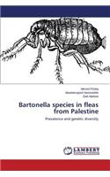 Bartonella species in fleas from Palestine