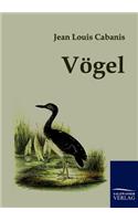 Vögel