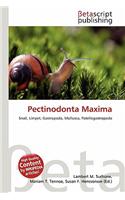 Pectinodonta Maxima