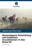 Neoendogene Entwicklung auf ländlichen Grundstücken in São Borja-RS