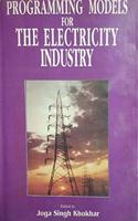 Programming Models for the Electricity Industry