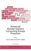 Advanced Nuclear Systems Consuming Excess Plutonium