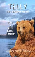 Telly the Brown Bear