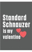 Standard Schnauzer is my valentine: For Standard Schnauzer Dog Fans