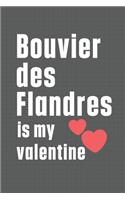 Bouvier des Flandres is my valentine: For Bouvier des Flandres Dog Fans