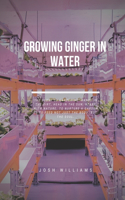 Growing Ginger In Water: The Ultimate Beginners Guide to Building a Hydroponic System