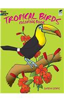 Tropical Birds