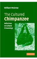 Cultured Chimpanzee