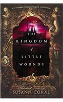 The Kingdom of Little Wounds