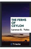 The Ferns of Ceylon