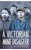 Survivors: A Victorian Mine Disaster: A Young Boy's Story