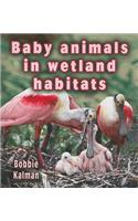 Baby Animals in Wetland Habitats