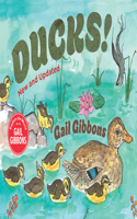 Ducks! (New & Updated)