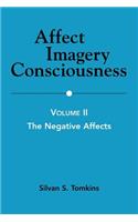 Affect Imagery Consciousness