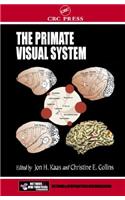 Primate Visual System