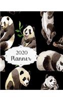 2020 Planner