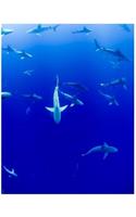 Notebook: Beautiful Shark Composition Notebook for Adult/Children Animals Lovers to Writing Large (8.5x11 Inch. 21.59x27.94 cm.) Wide Ruled Lined Paper 120 Bl