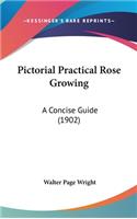 Pictorial Practical Rose Growing