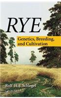 Rye