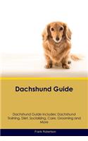 Dachshund Guide Dachshund Guide Includes: Dachshund Training, Diet, Socializing, Care, Grooming, Breeding and More