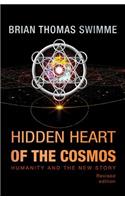 Hidden Heart of the Cosmos