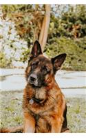 German Shepherd Dog Pup Puppy Doggie Notebook Bullet Journal Diary Composition Book Notepad - Looking Dreamy