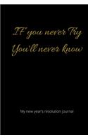 IF you never Try You'll never know my new year's resolution journal
