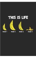 This is Life