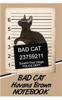 Bad Cat Havana Brown Notebook