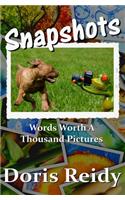 Snapshots