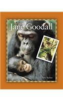 Jane Goodall