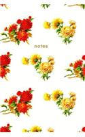 Notes