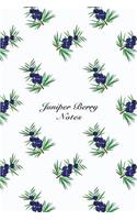 Juniper Berry Notes: 6"x9" Notebook Watercolor Texture Design Fruit Pattern Cover. 108 Blank Lined Pages Matte Softcover Note Book Journal