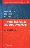 Towards Hybrid and Adaptive Computing